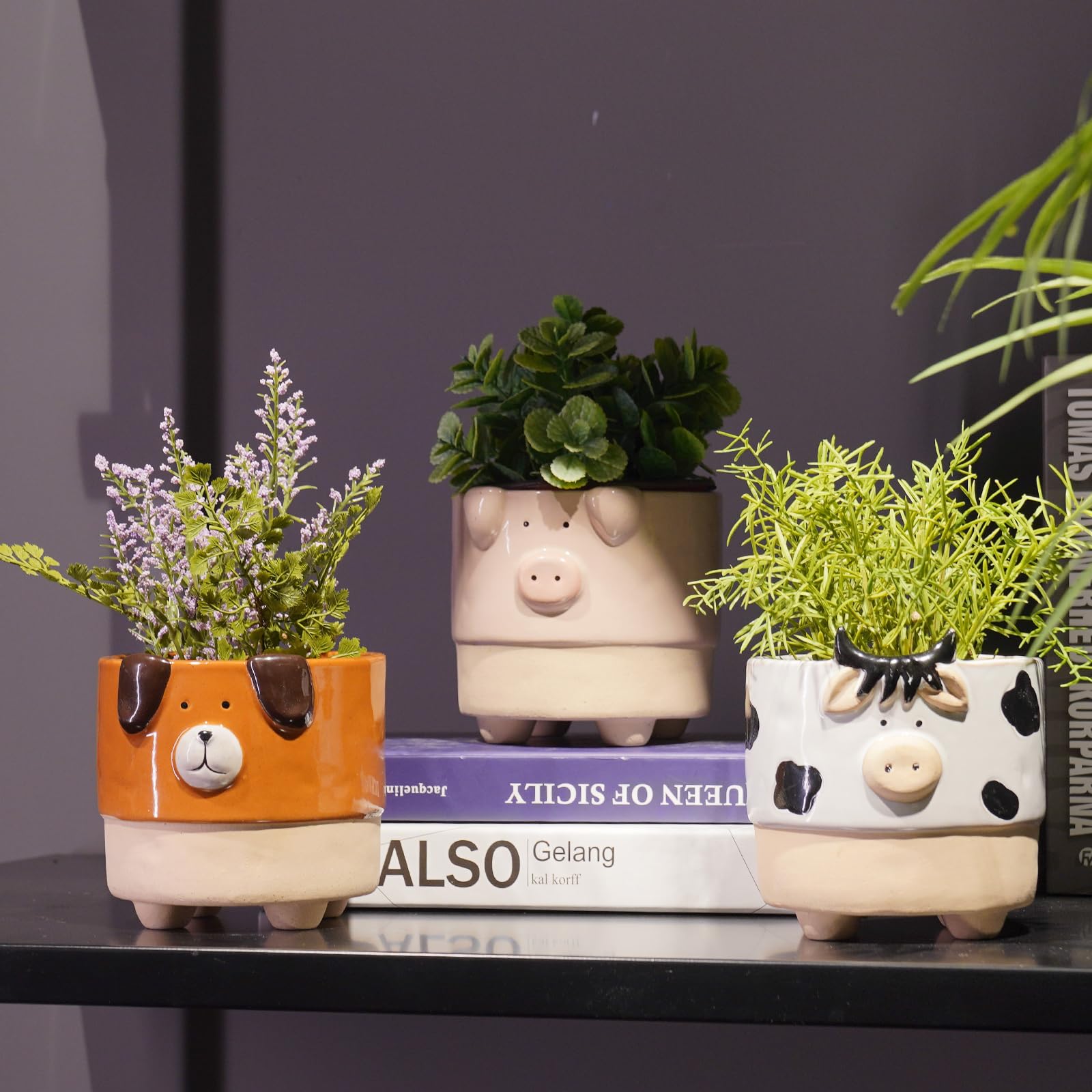 Find the Ideal Porcelain Flowerpot for Your Home Decor