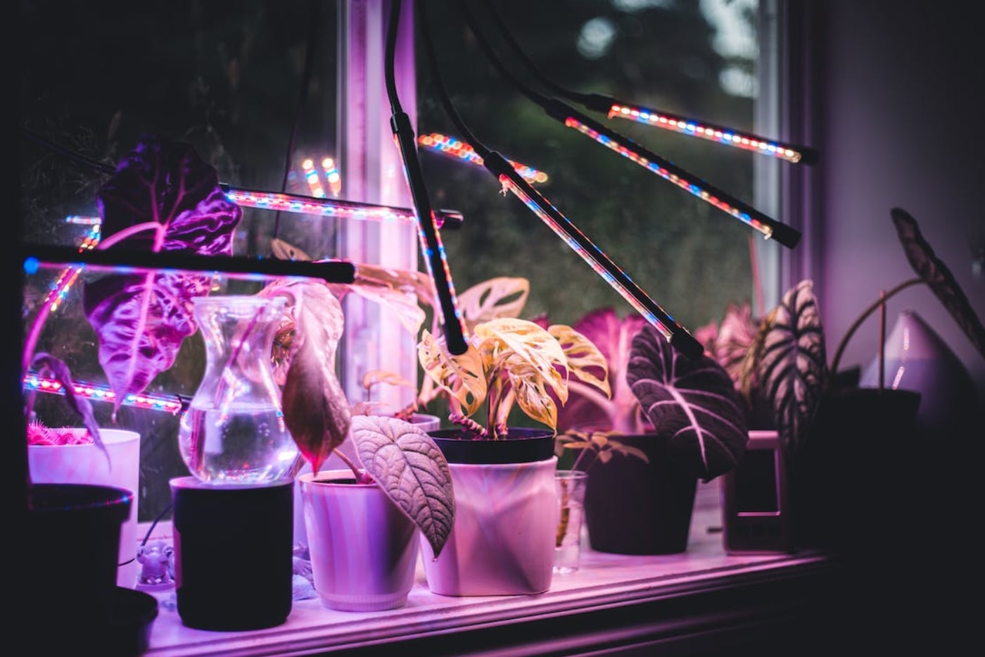 Benefits of Using a Plant Grow Light Stand for Your Indoor Plants