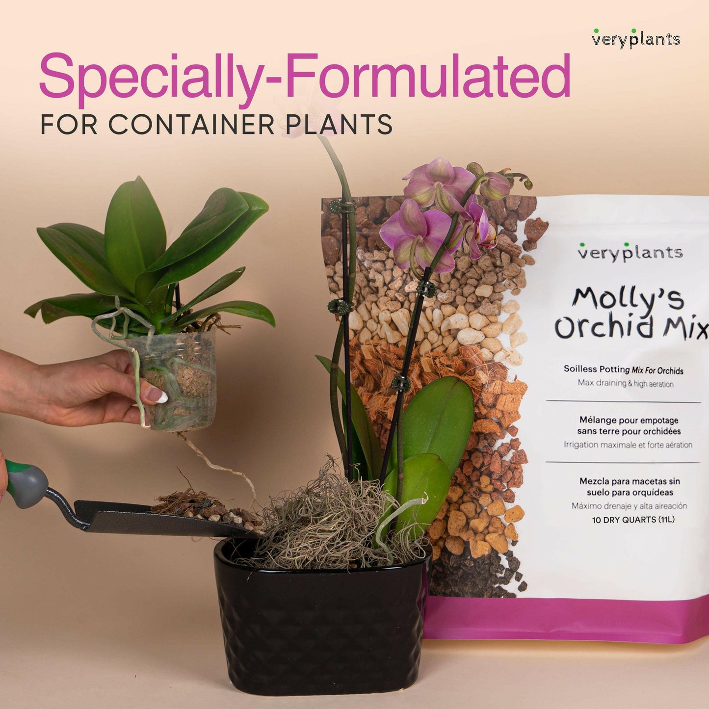 Best Orchid Repotting Near Me: Top-Rated Services