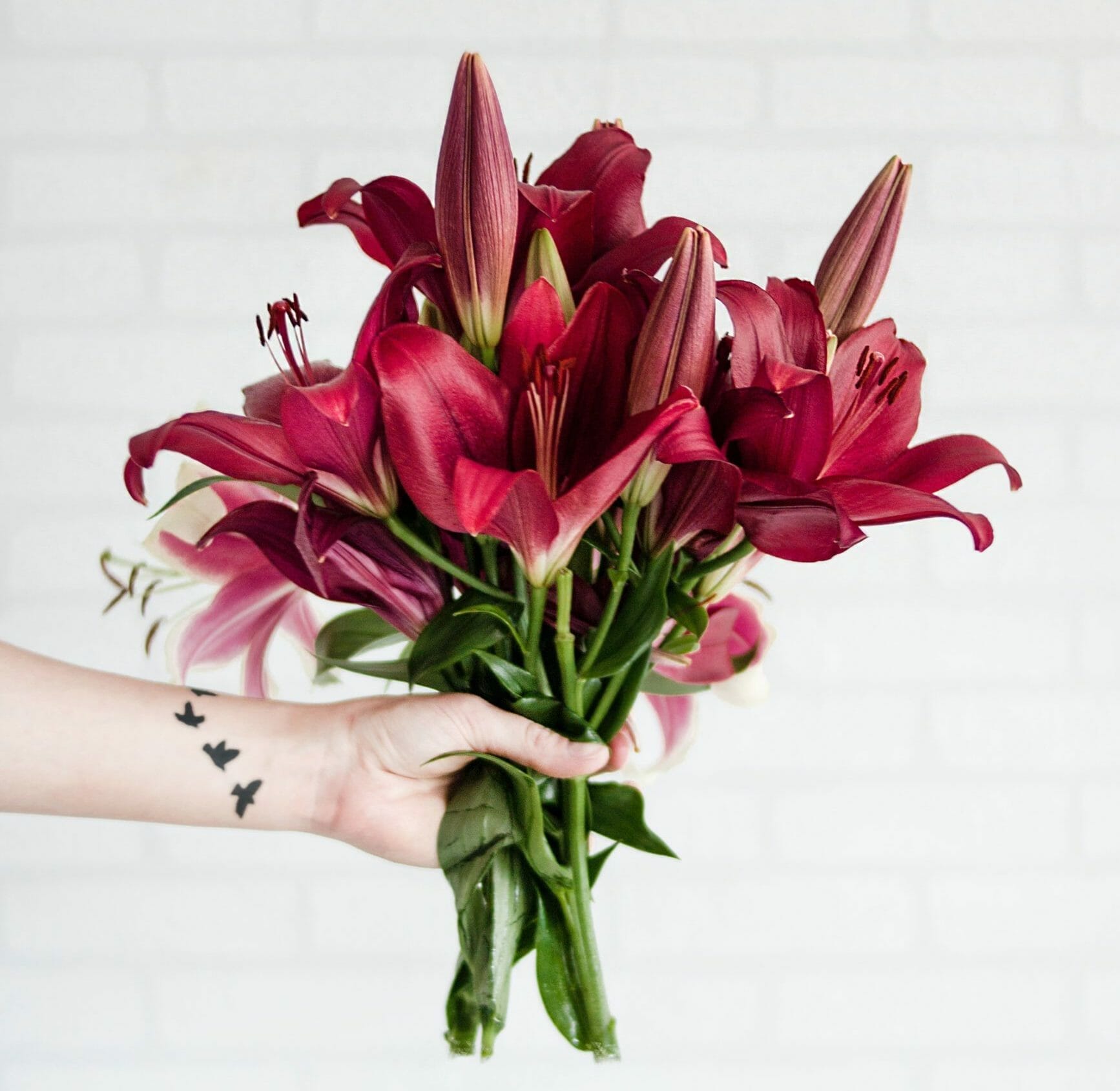 Taurus flowers: A simple guide to the best floral gifts for every taurus!