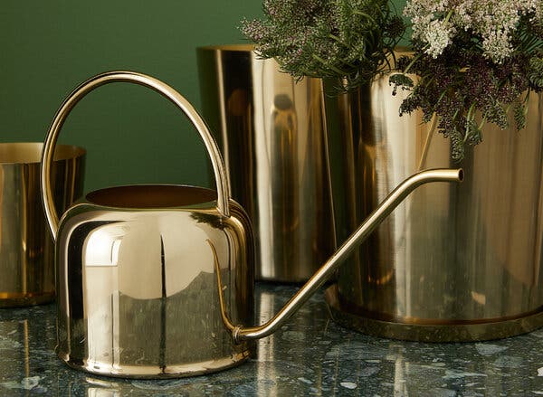 Metal Watering Cans: Why You Should Choose the Best One