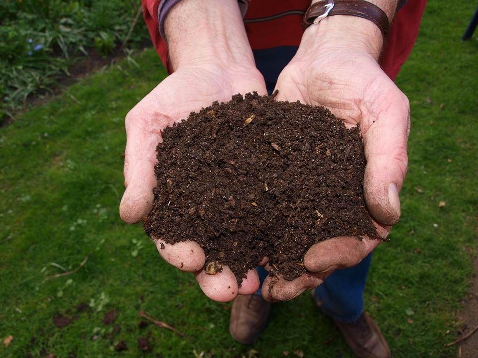Struggling with Sandy Soil Lawn? Try These Easy Fixes