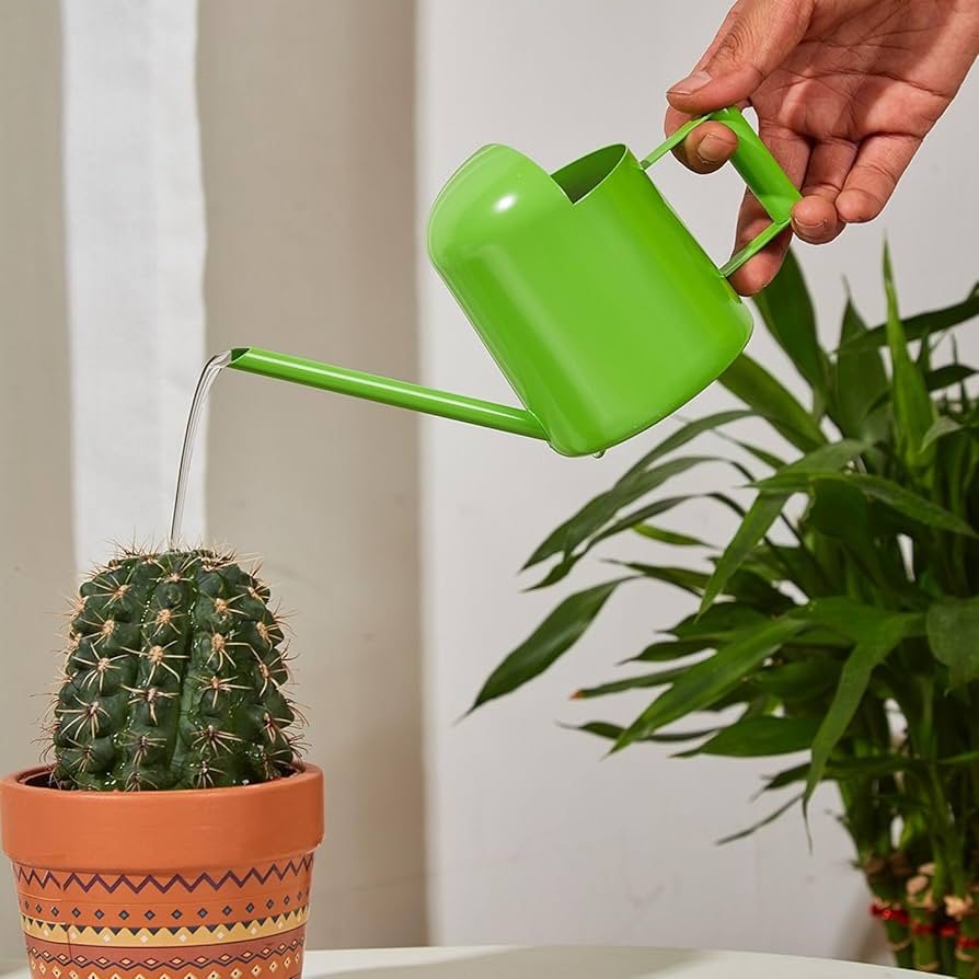 Top-Rated Long Spouted Watering Cans You Should Check Out