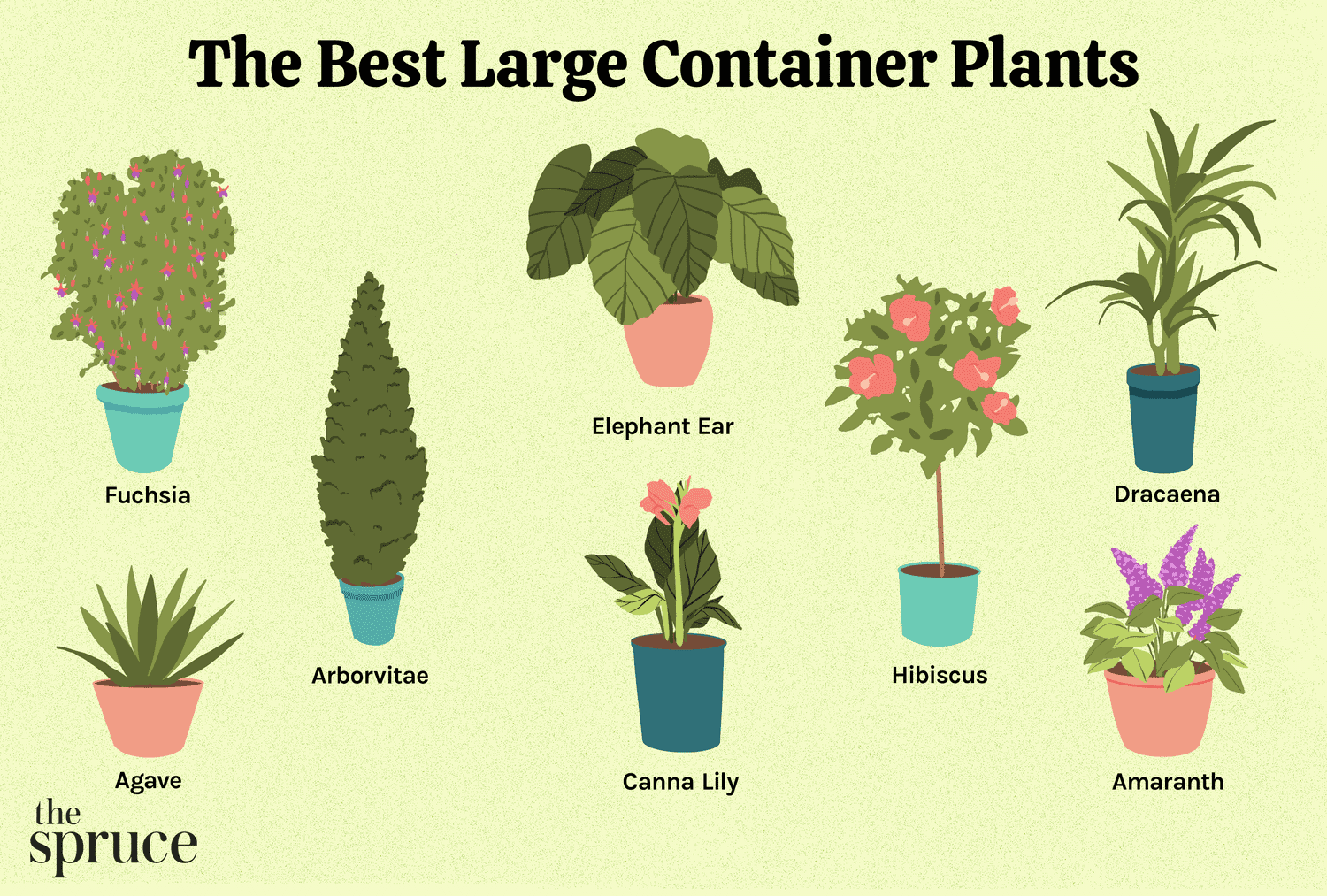 Top 5 Care Pots That Will Make Your Plants Thrive