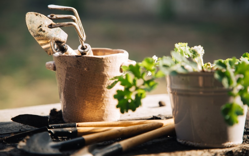 English Gardening Tools: Must-Haves for Your Garden