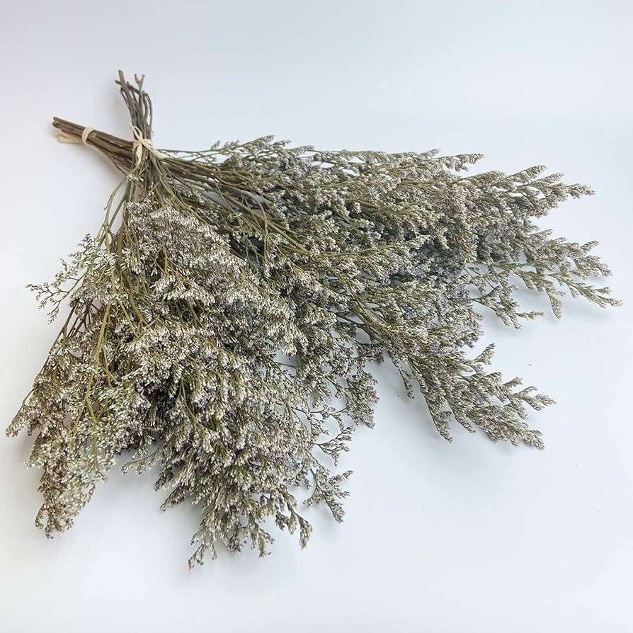 Statice Flowers: Long-Lasting Beauty for Your Home