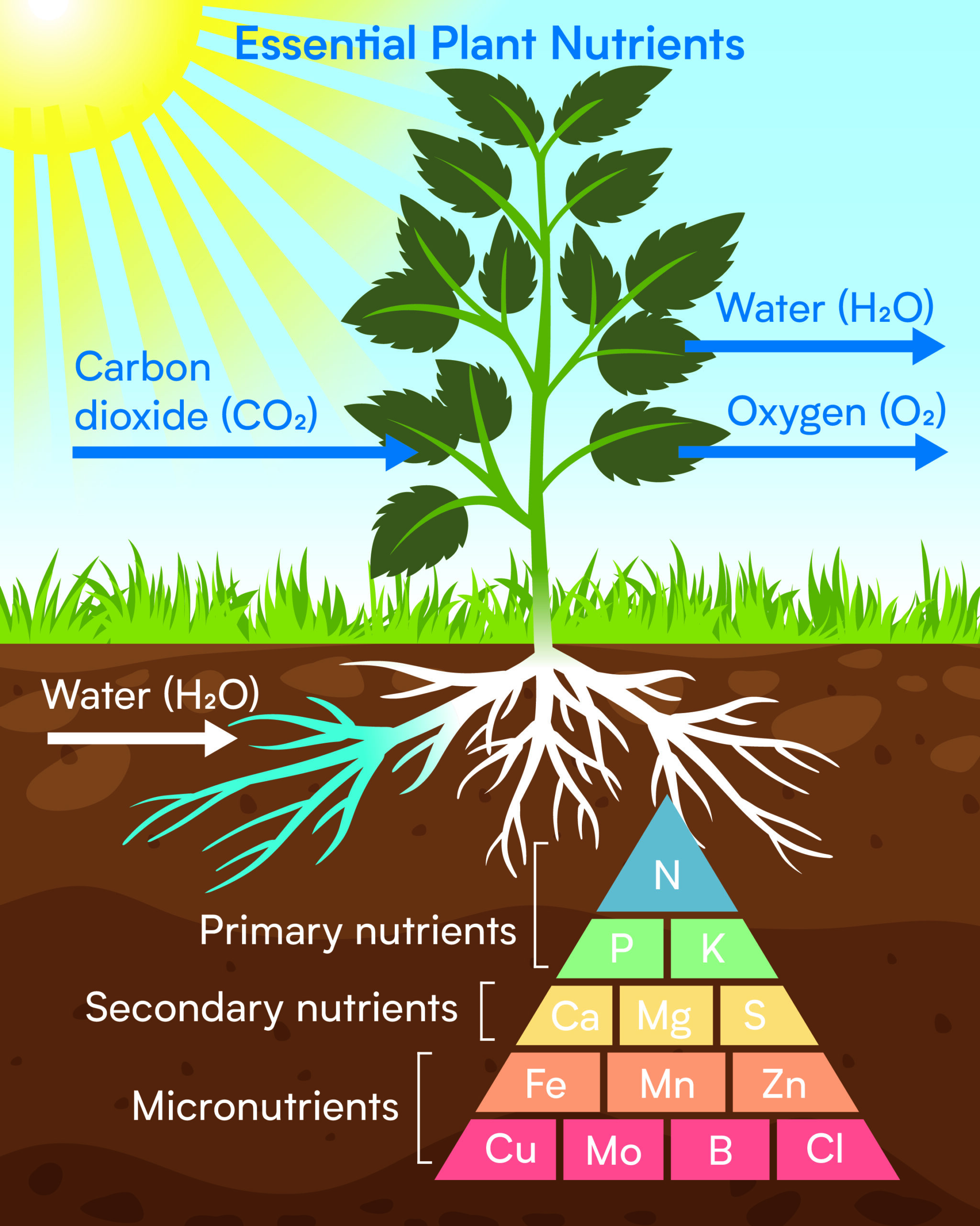 Choosing the Right Plant Starter Fertilizer for Your Plants