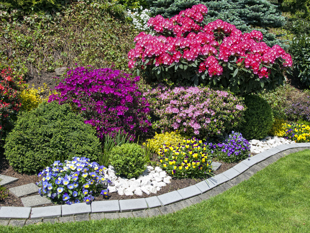 Choosing the Best Lawn Flowers for Your Garden
