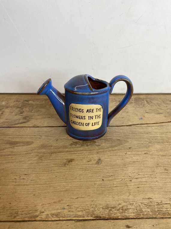 Blue Watering Can: Your Gardens Best Friend, Find Yours Now!