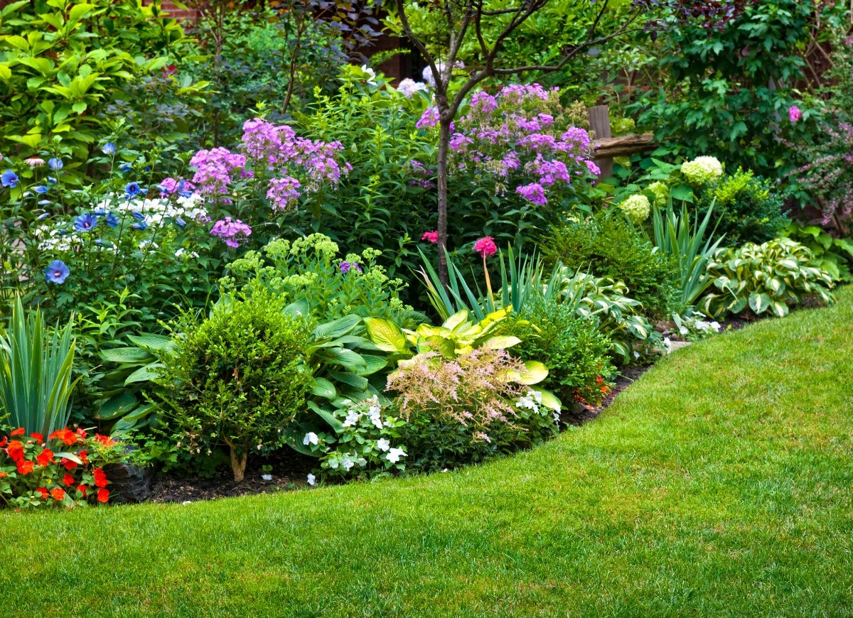 Discover Shrubs That Like Wet Soil and Full Sun: A Simple Guide