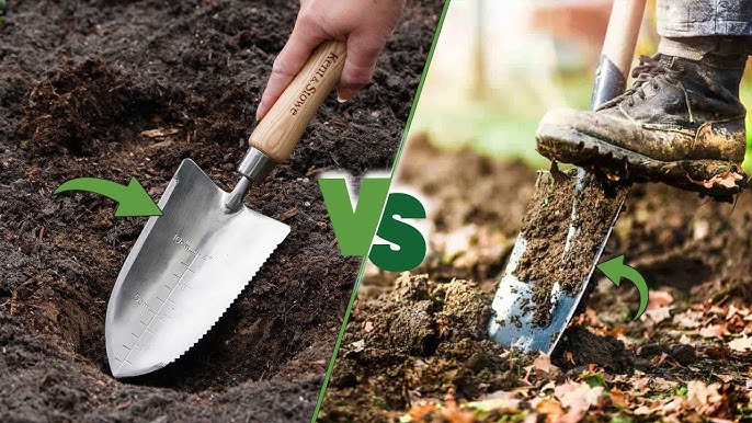 Bulb shovel vs. trowel (Learn the difference for your plants)