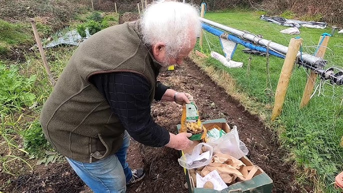 How to Use an Antique Potato Shovel (Learn the Proper Techniques for Gardening)
