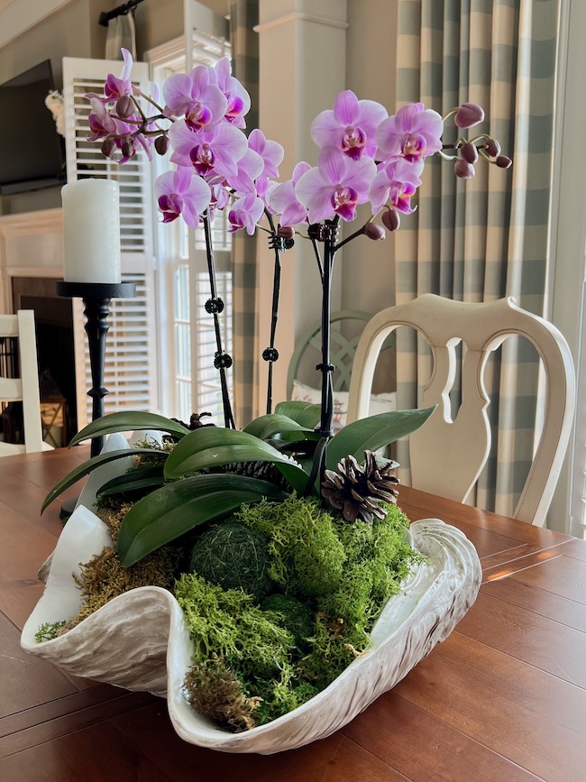White Orchid Flowers: Tips for Arranging Them in a Vase or Pot? Discover Creative Ways to Display Your White Orchid Flowers at Home.