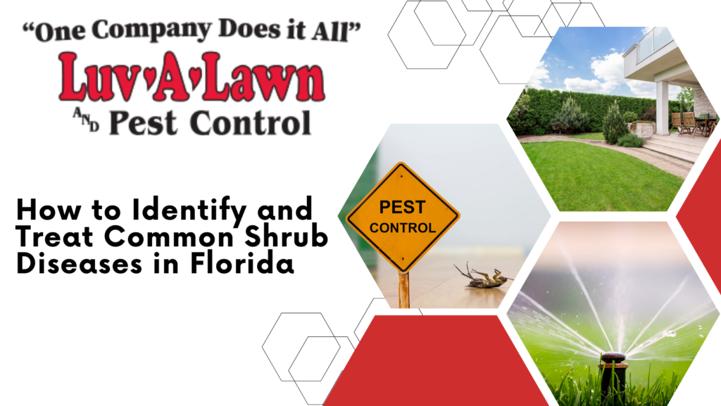 Identify and Treat Common Bush Diseases Effectively