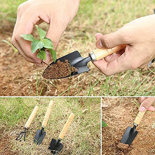 Gardening Shovel Small Size: Perfect for Pots and Flower Beds