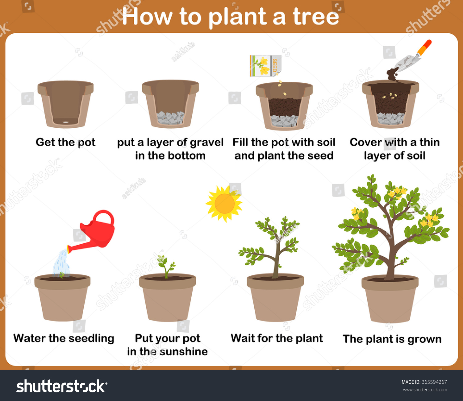 How to grow a flowerpot tree (step-by-step guide for beginners)