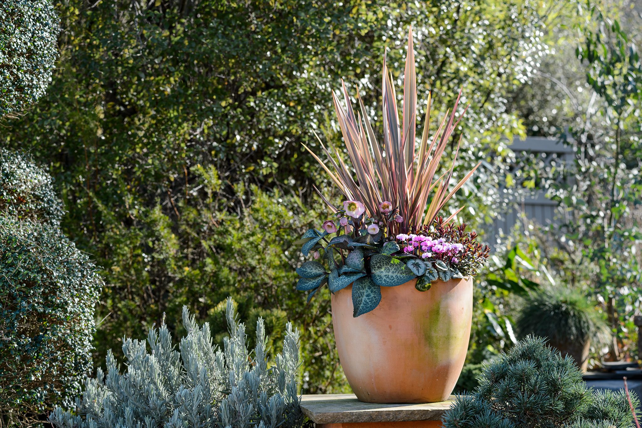 Top 5 Care Pots That Will Make Your Plants Thrive