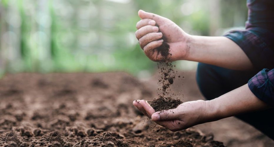 Mastering the Art: How to Till Soil by Hand Effectively