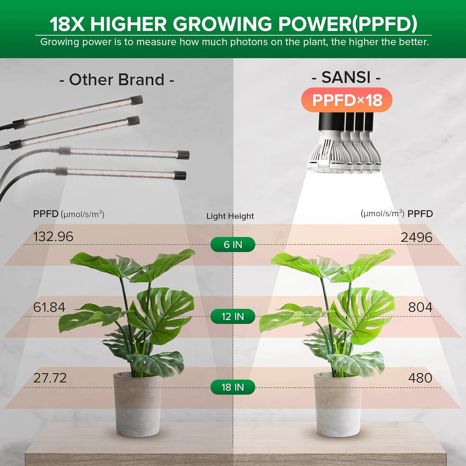 How to Choose the Best Lighting Increments for Most Plants
