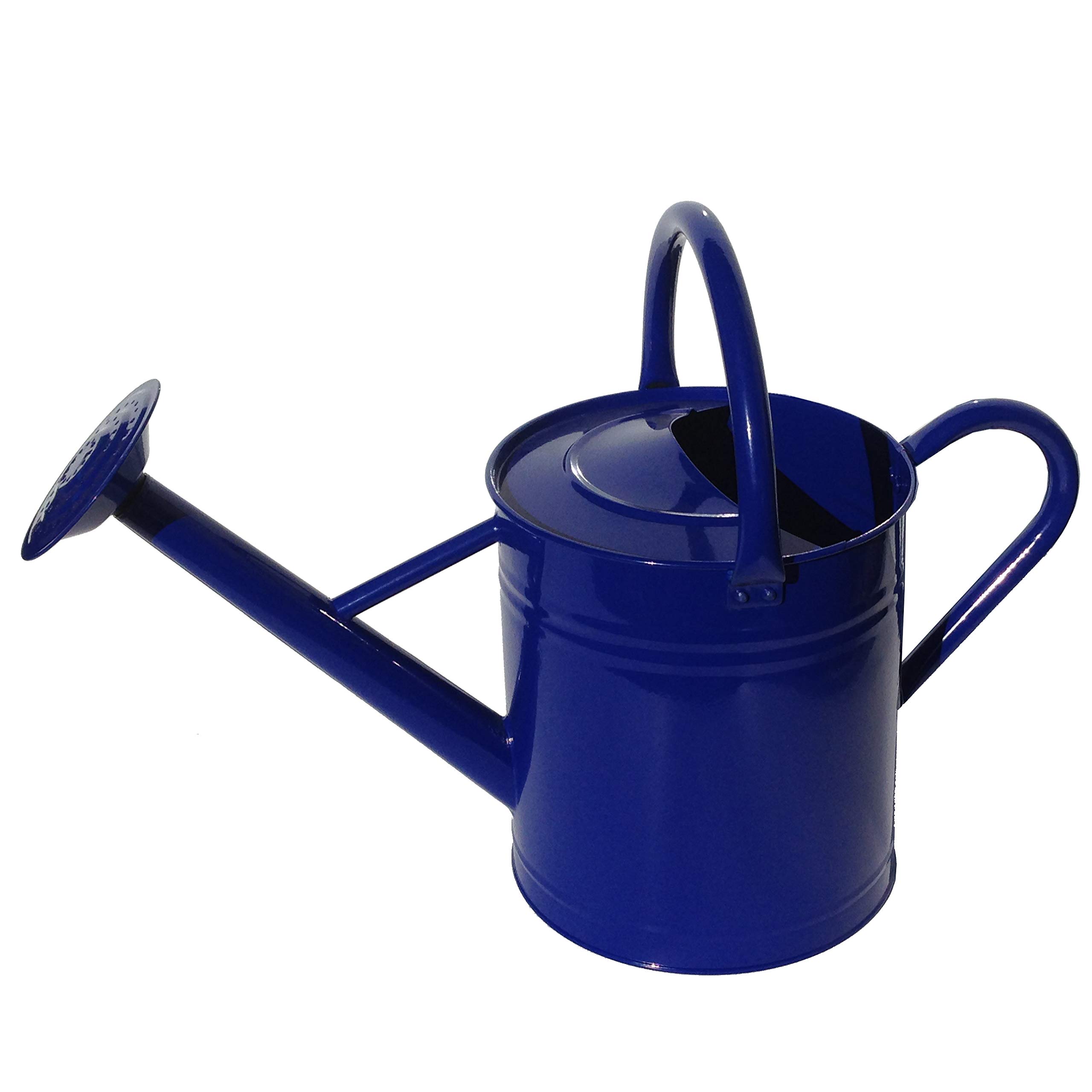Upgrade Your Garden with a Stylish and Functional Blue Watering Can