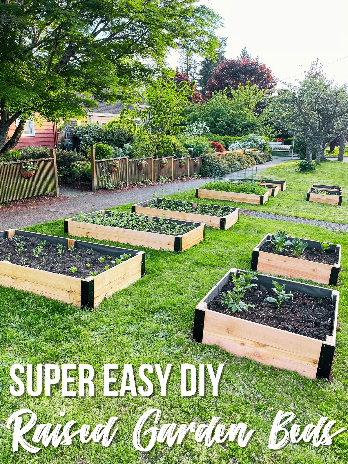 Stand Up Gardening: Easy DIY Raised Garden Beds at Warehouse Prices