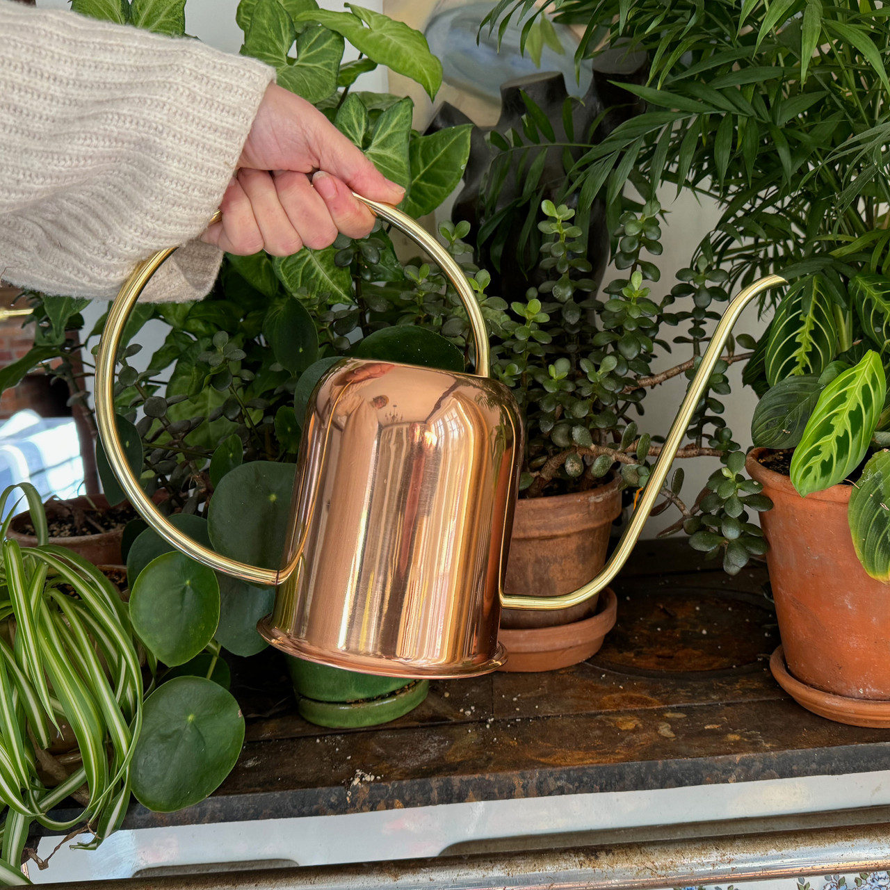 Best Copper Watering Can Indoor: Stylish & Practical Picks