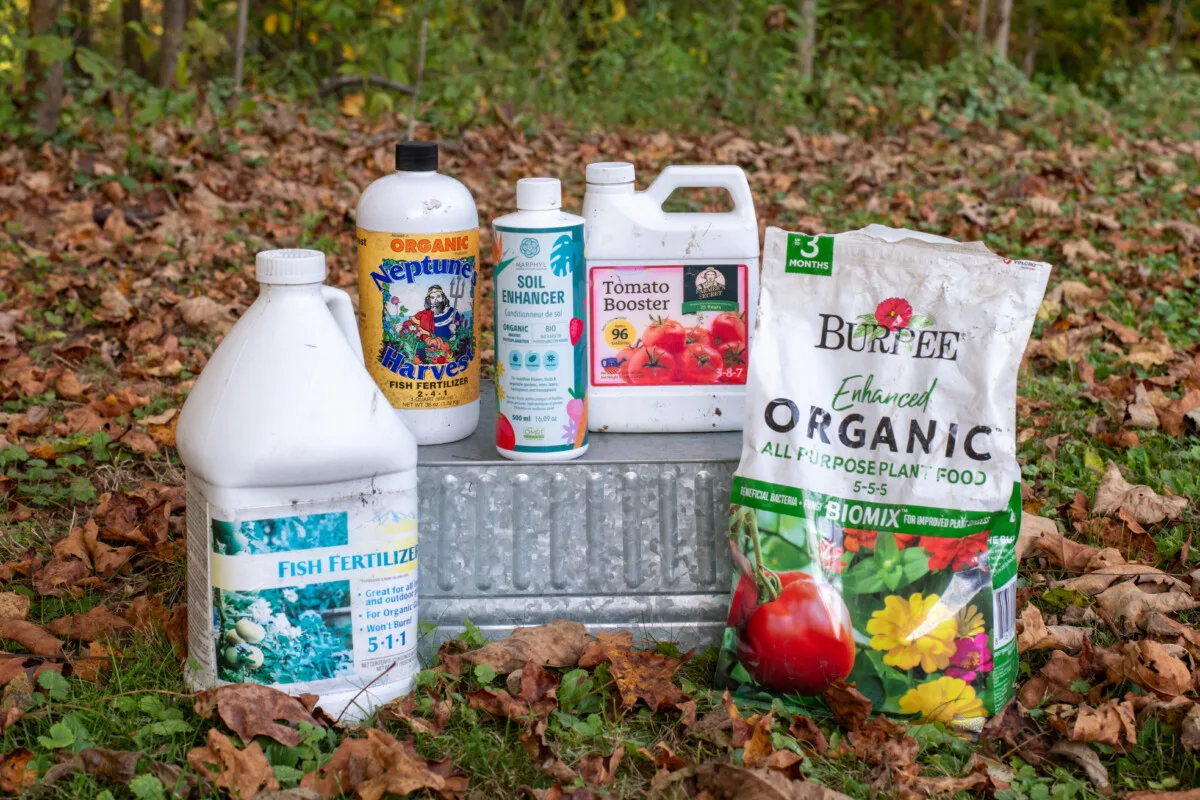 All purpose fertilizers for beginners: Everything you need to know