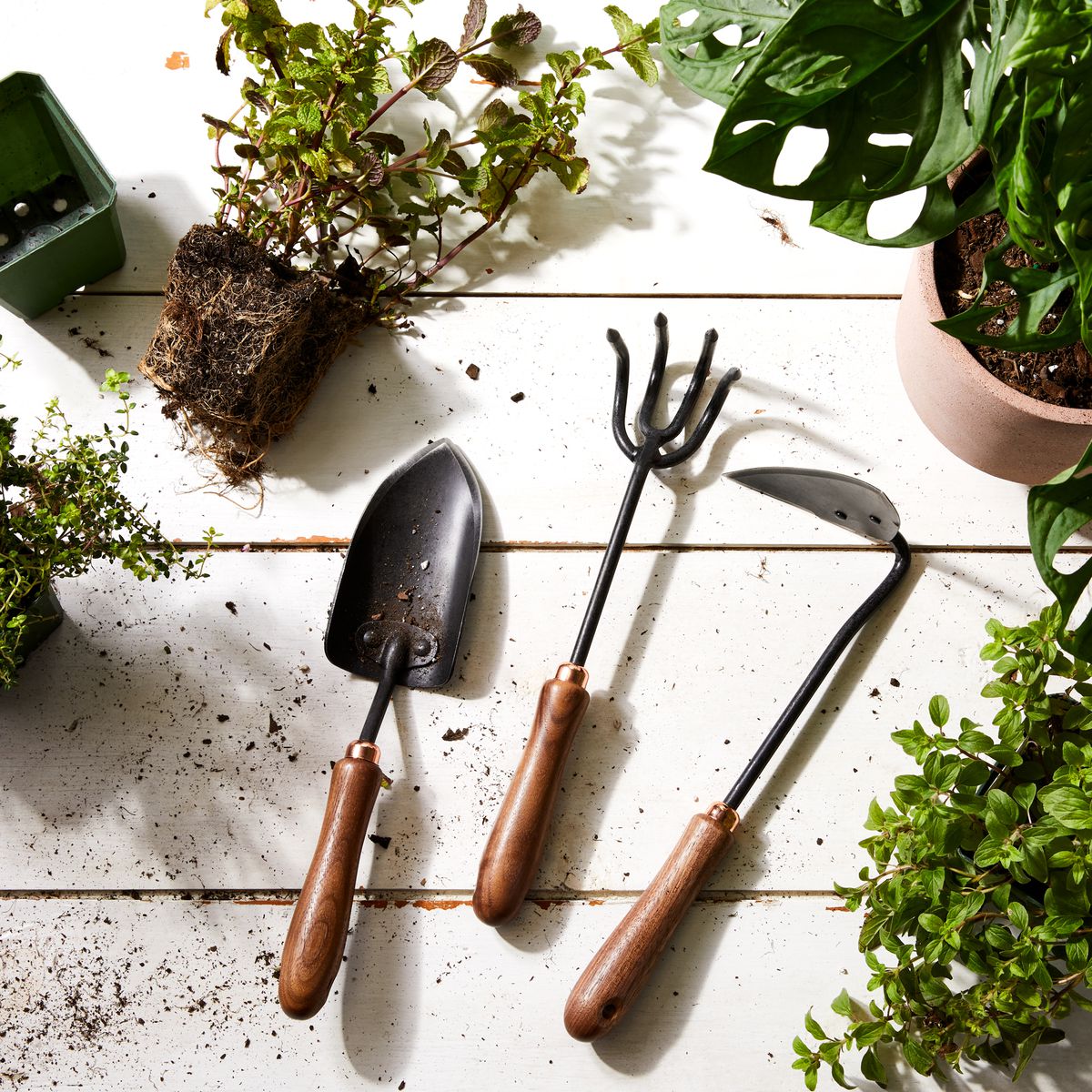Must-Have House Plant Tools: Gear Up for Indoor Gardening Success!