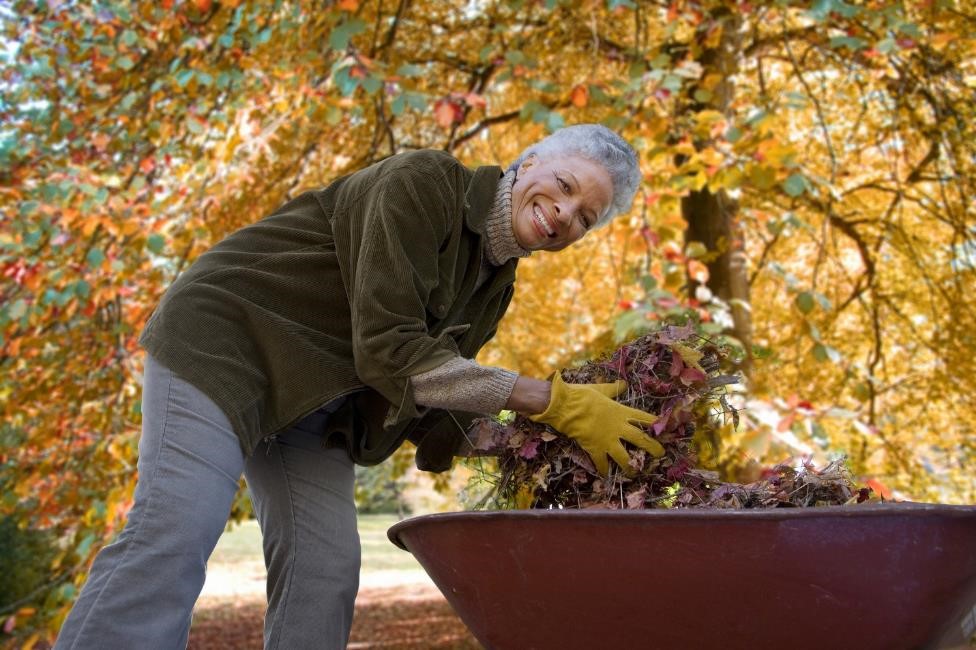 Winterizing Your Garden: Unique Strategies for Pest & Disease Prevention in Horticultural Care