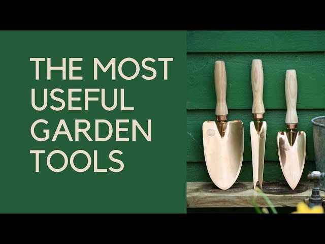 Is Shovel Plant Right for You? Pros and Cons