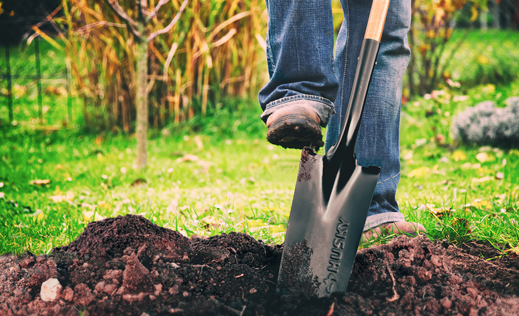 Choosing the Right Gardening Tools for Digging Your Garden