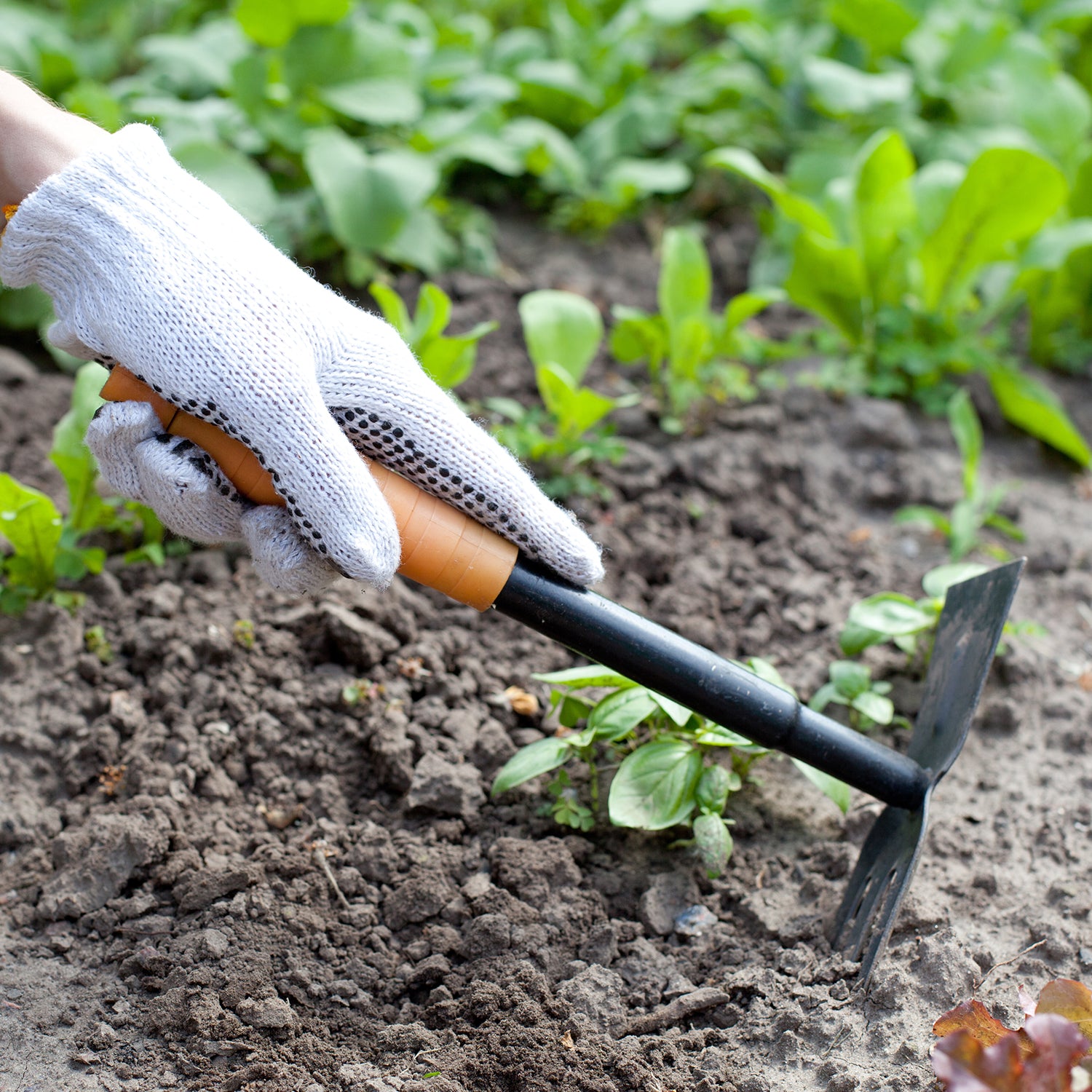 Using a Potting Shovel: Tips and Tricks for Easy Gardening