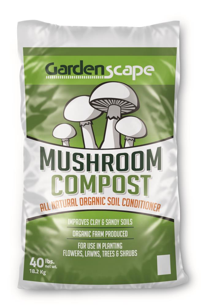Looking for Mushroom Soil Near Me? Check Out These Spots