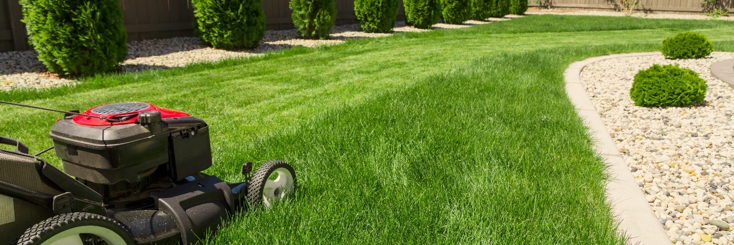 Keep It Green Lawn Care: Your Guide to a Perfect Yard