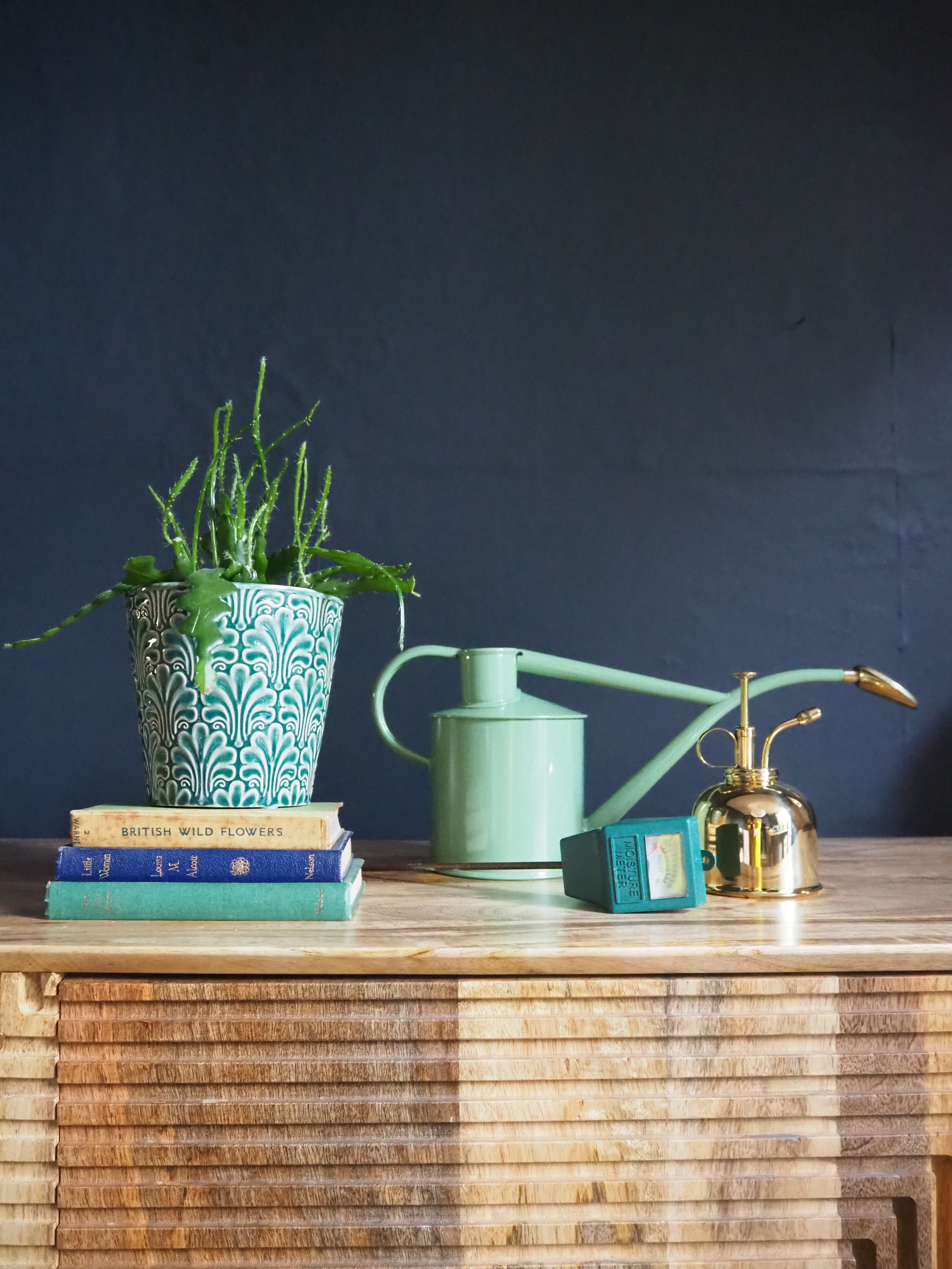 Haws Indoor Watering Can: Tips for Choosing the Right One (And Why It Matters for Your Plants)