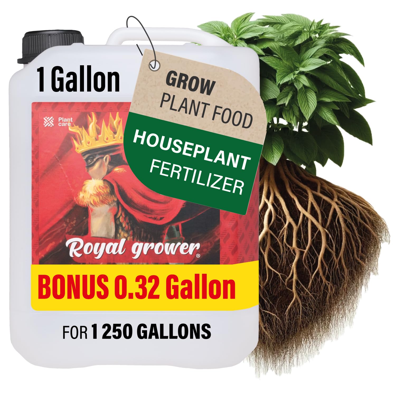 Unlock Lush Growth: Perfect Molly Plant Fertilizing Time