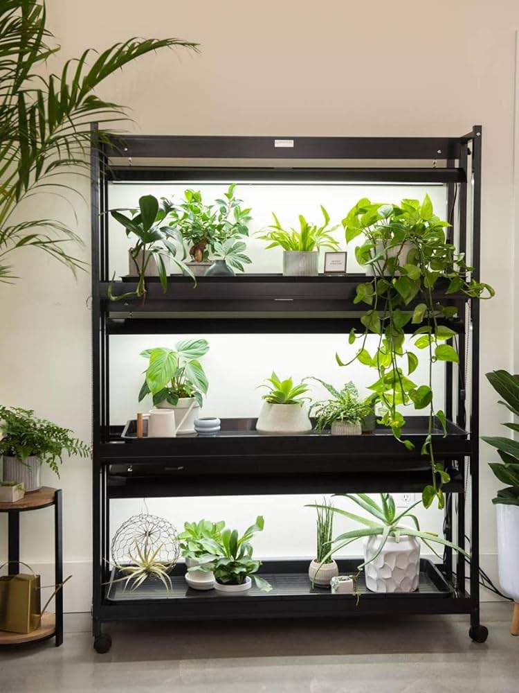 Grow Light Plant Stand: The Best Choice for Indoor Gardening