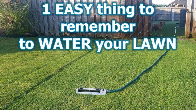 When to start watering lawn in spring? Watch out for these signs!