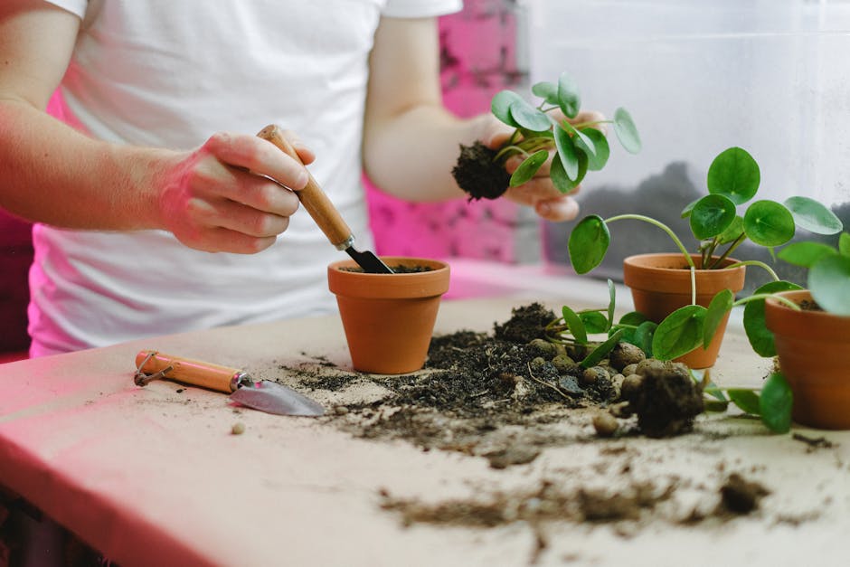 Where to find a reliable gardening tools sharpening service? Check out these options!
