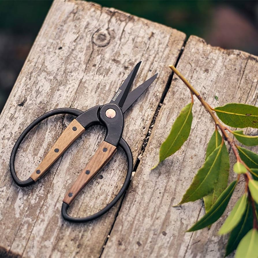 Top 5 Reasons You Need Barebones Garden Scissors