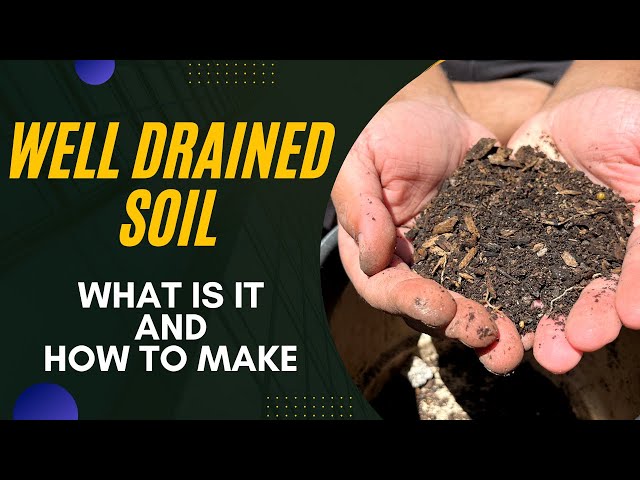 Creating Rich Well Draining Soil for Winter in Georgia: Tips and Tricks