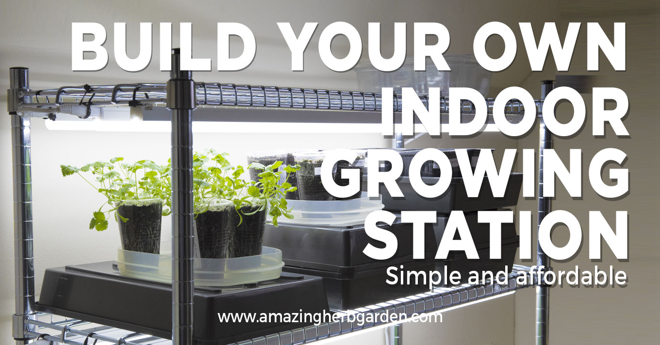 Using a Grow Light on Stand (Easy Guide for Indoor Plant Growing)