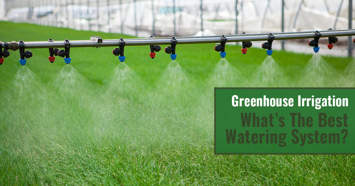 Choosing the Best Glasshouse Watering Systems: A Quick Guide