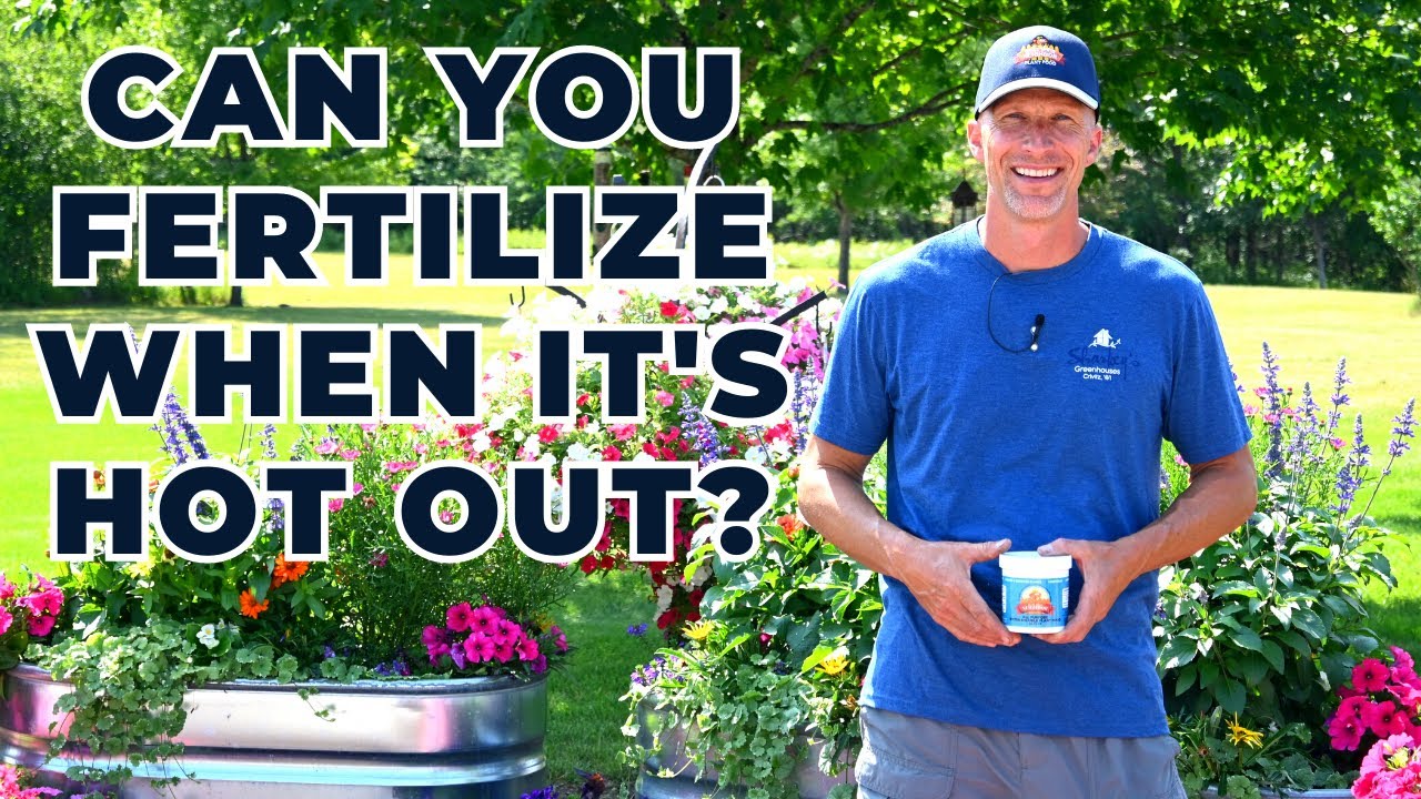 When Is It Too Hot To Fertilize Plants? Tips and Tricks