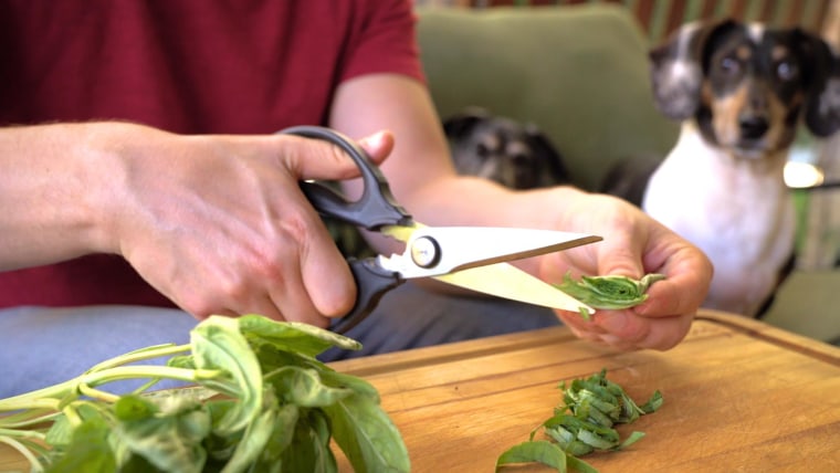 How to Use Vegetable Cutting Scissors? Simple Steps for Effortless Food Prep!