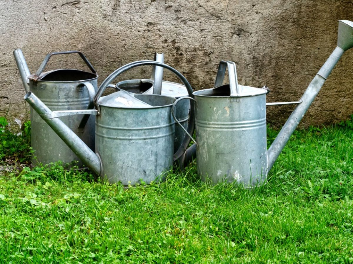 Watering Tote vs Watering Can: Which One Is Right for You?