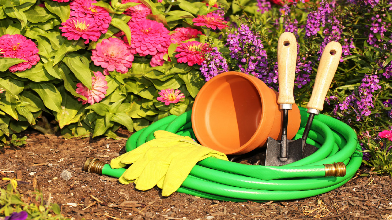 Top Gardening Tools for Watering Plants in 2024