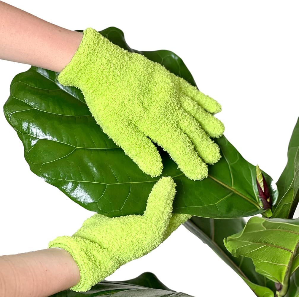 The Best Plant Dusting Gloves: Say Goodbye to Dusty Leaves! Tips for Indoor Plant Lovers