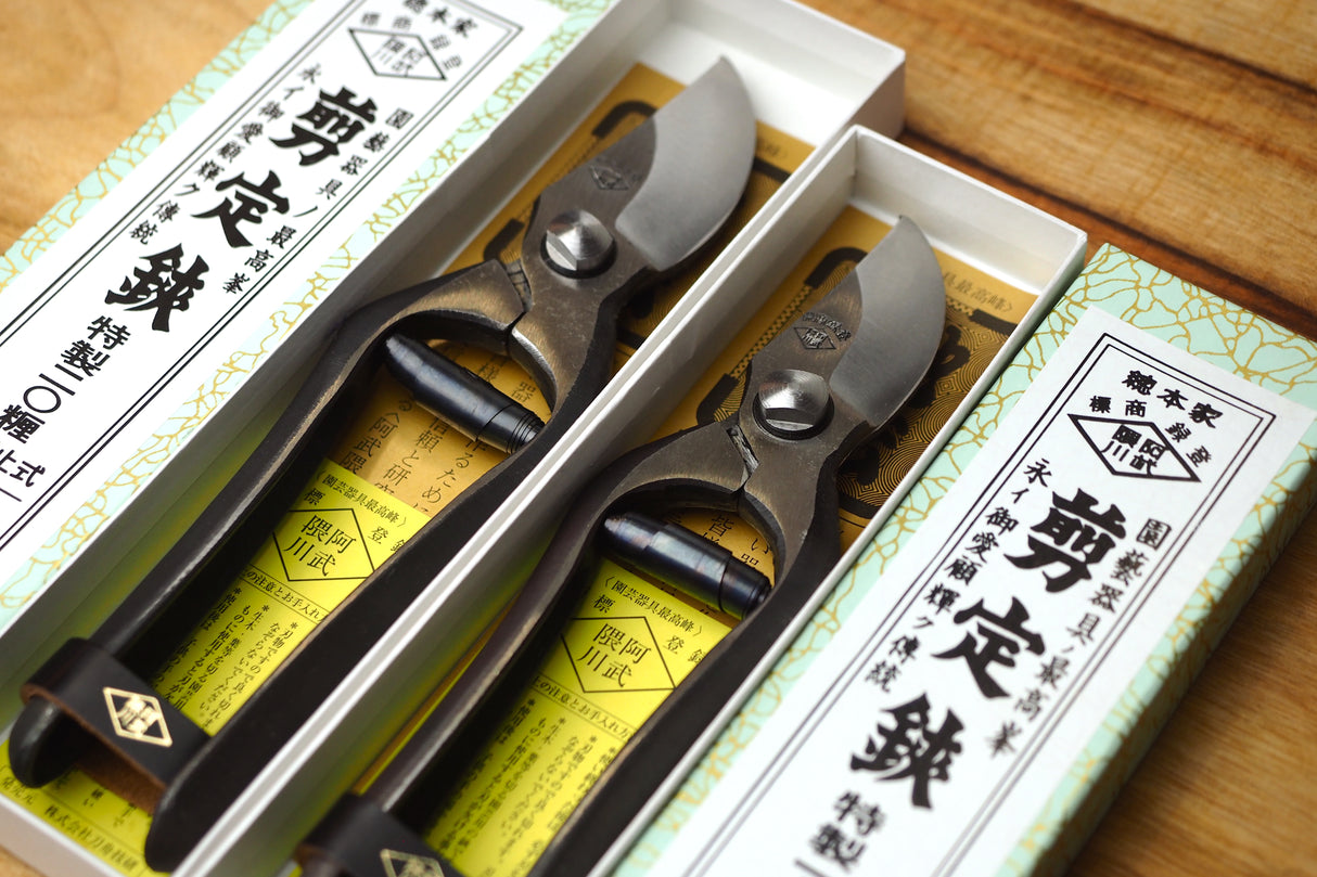 What are Japanese pruning scissors? (beginners guide to effortless garden care)