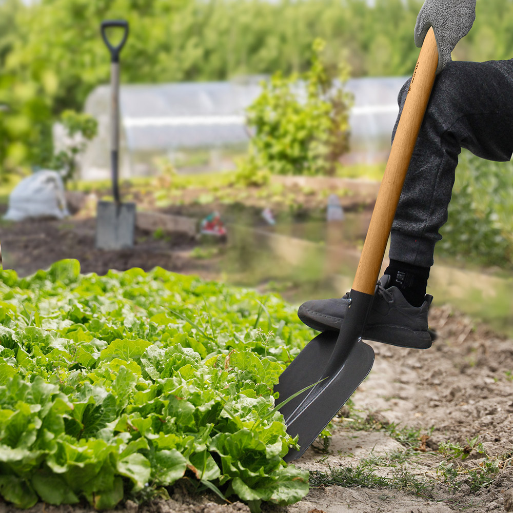 Choosing the Right Gardening Tools for Digging Your Garden